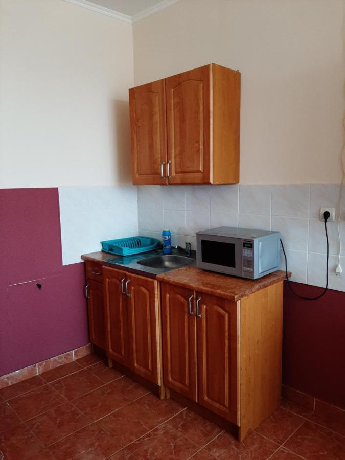 מוקצ'בה Apartment On Lermontova 35A מראה חיצוני תמונה